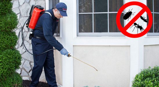 Bahçelerarası Kemirgen İlaçlama böcek ilaçlama ve haşere kontrolü — ilaclama-tr.com
